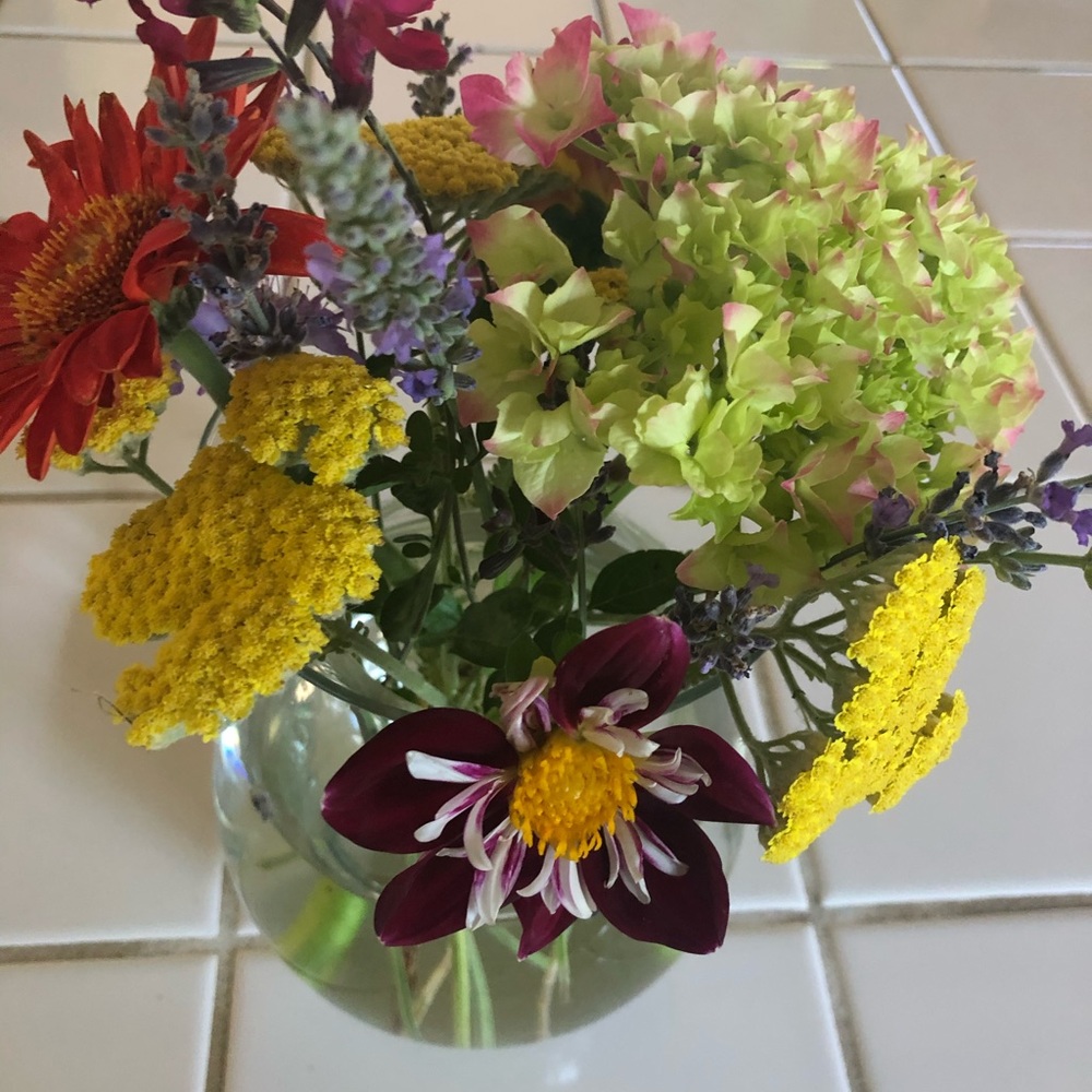 Meet your Posher, Meg